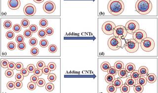 异相需共照 异相需共照